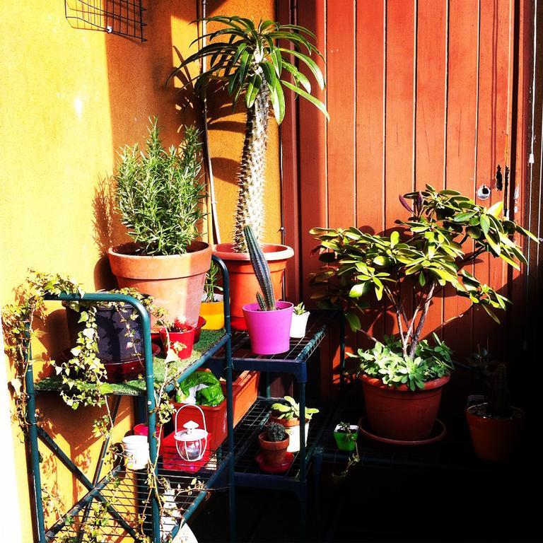 Apartment Pop House
